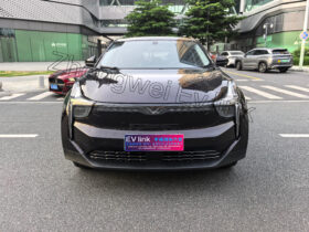 2022 NETA U Pro 400km